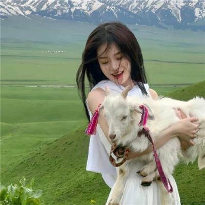 圣路易斯的骄傲