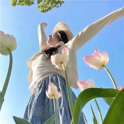 传世宝藏